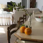 Rent 3 bedroom apartment of 120 m² in seville