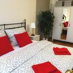 Rent 1 bedroom apartment in Prague