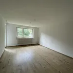 Miete 2 Schlafzimmer wohnung von 55 m² in Velbert