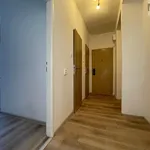 Pronájem bytu 2+1 54m²