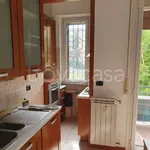 Rent 2 bedroom apartment of 50 m² in Milano