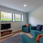 Rent 1 bedroom flat in Bangor