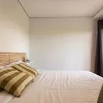 Rent a room in valencia