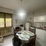 Rent 5 bedroom apartment of 100 m² in Siena