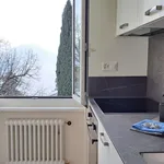 Rent 2 bedroom apartment of 50 m² in Ruvigliana