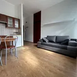 Rent 1 bedroom apartment of 25 m² in Poznan