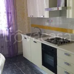 Rent 2 bedroom apartment of 60 m² in Frosinone