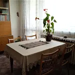 Rent 3 bedroom apartment of 74 m² in Prague