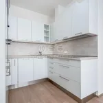 Pronajměte si 3 ložnic/e byt o rozloze 60 m² v Prague