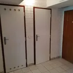 Rent 1 bedroom apartment of 45 m² in Brno