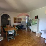 Rent 3 bedroom apartment of 120 m² in Varese