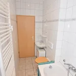 Rent 1 bedroom apartment of 48 m² in Chemnitz