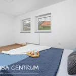 Rent 2 bedroom apartment of 70 m² in Hořice