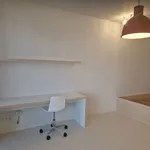 Rent 1 bedroom apartment in Leuven