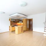 Rent 4 bedroom apartment of 122 m² in Prague