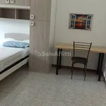 Rent 3 bedroom apartment of 75 m² in Torino