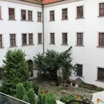 Rent 1 bedroom apartment of 55 m² in Brno