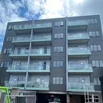 Rent 3 bedroom apartment in Auckland