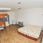 Rent 1 bedroom apartment in Brno