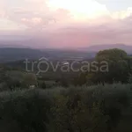 Rent 3 bedroom apartment of 70 m² in Civitella Paganico