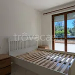 Rent 3 bedroom apartment of 72 m² in Chieti