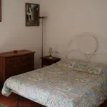 Rent 1 bedroom house in Girona']