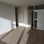 Huur 2 slaapkamer appartement van 67 m² in Ermelo