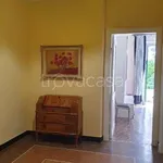 Rent 3 bedroom apartment of 80 m² in Genoa