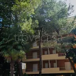 Rent 2 bedroom apartment of 50 m² in Grado