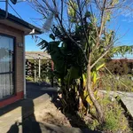 Rent 5 bedroom apartment in Auckland