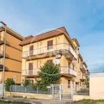 Rent 3 bedroom apartment of 65 m² in Rome