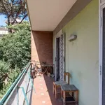 Rent 5 bedroom apartment in Rome