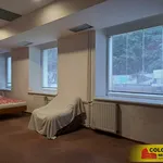 Rent 1 bedroom apartment in Blansko