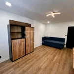 Rent 4 bedroom apartment in Ostrava