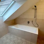 Rent 1 bedroom apartment in Pilsen