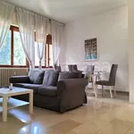 Rent 3 bedroom apartment of 98 m² in Milano