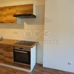 Rent 1 bedroom apartment of 28 m² in Frýdlant