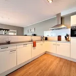 Rent 2 bedroom apartment of 108 m² in Eindhoven