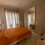 Rent 4 bedroom apartment of 100 m² in Cosenza