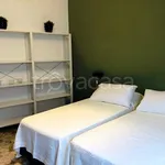 Rent 4 bedroom apartment of 100 m² in Bologna