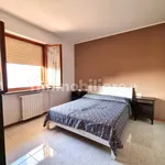 Rent 3 bedroom apartment of 80 m² in Viterbo