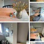 Miete 1 Schlafzimmer wohnung von 45 m² in Essen