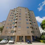 Alugar 5 quarto apartamento em Porto