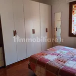 Rent 4 bedroom apartment of 90 m² in Bologna