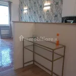 Rent 2 bedroom apartment of 65 m² in Turin