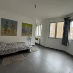 Rent 1 bedroom apartment in Antwerpen