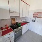 Rent 3 bedroom apartment of 80 m² in Genoa