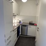 Miete 1 Schlafzimmer wohnung von 38 m² in Brunswick