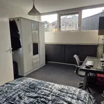 Rent 2 bedroom apartment of 35 m² in Groningen