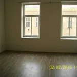 Rent 1 bedroom apartment in Brno